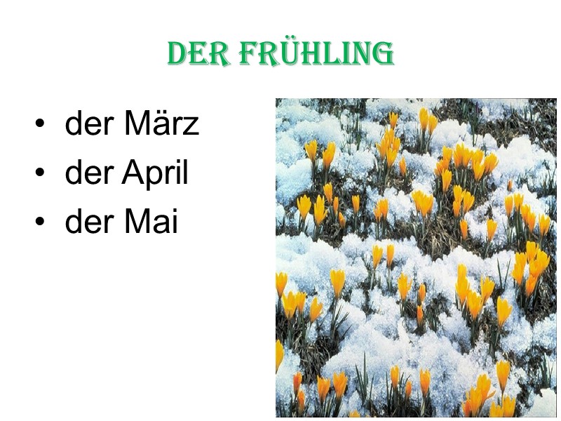 der Frühling   der März  der April  der Mai